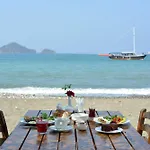Yonca Fethiye