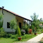 Yonca 3*
