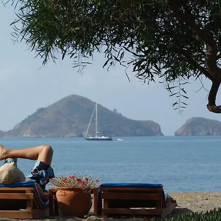 Yonca Fethiye