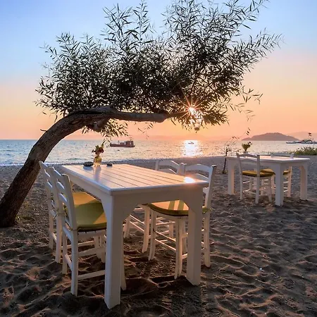 Yonca 3* פאטהיה