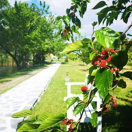 Yonca 3* פאטהיה