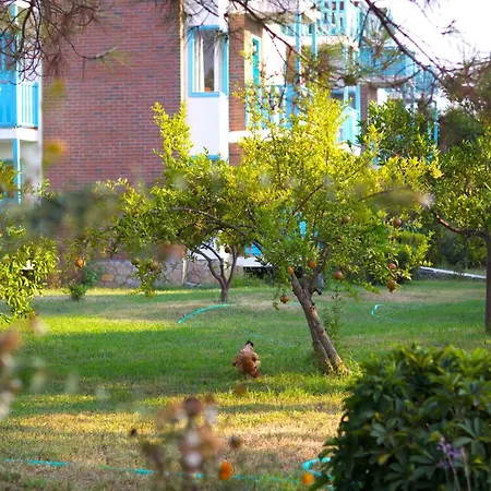 Hotel Yonca