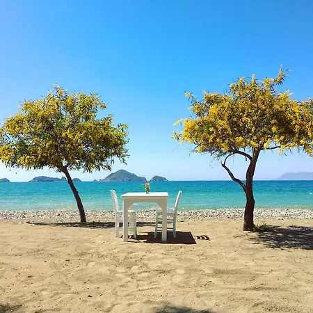 Yonca 호텔 페티예