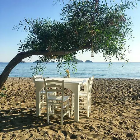 Yonca 호텔 페티예