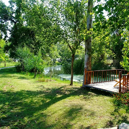 Hotel Yonca 3*