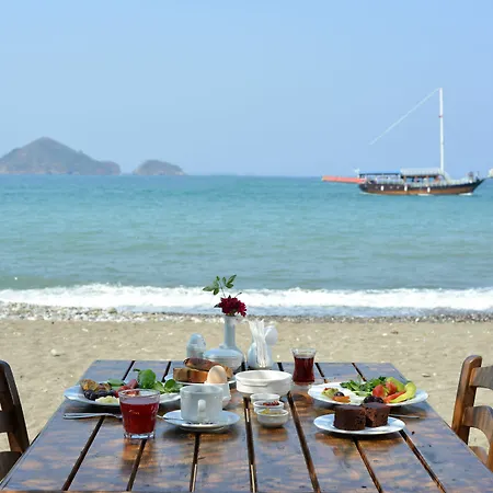 Yonca Fethiye