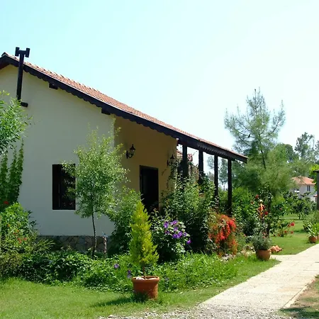 Yonca 3*