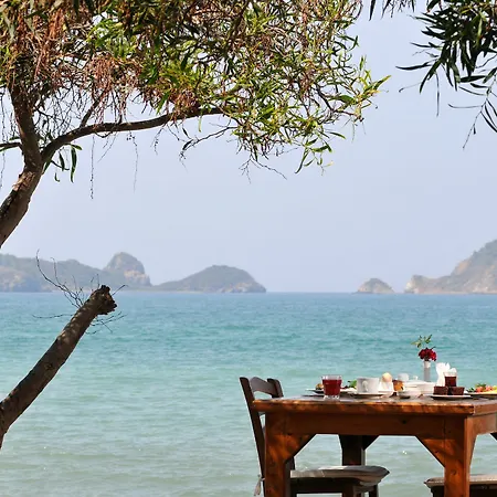 Hotel Yonca 3*