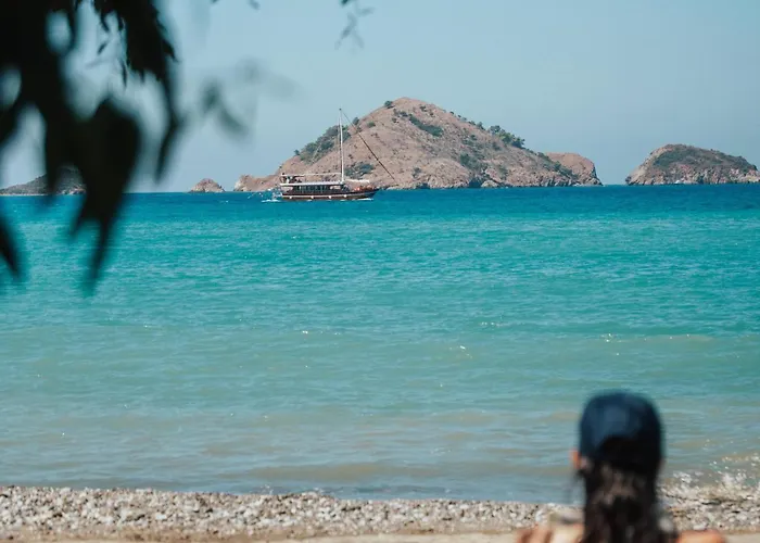 Yonca 3*